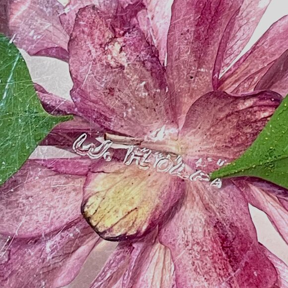 Pressed Pink Flower Paperweight by W. Rolfe Lucite Sphere Encasing Real Flower & - Picture 6 of 9